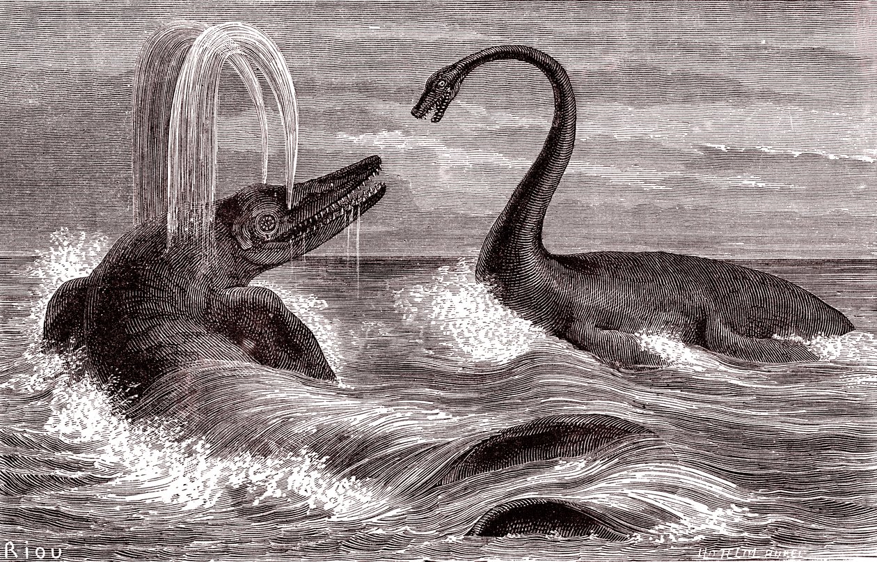 Ichtyosaurus ja plesiosaurus tekijältä Edouard Riou