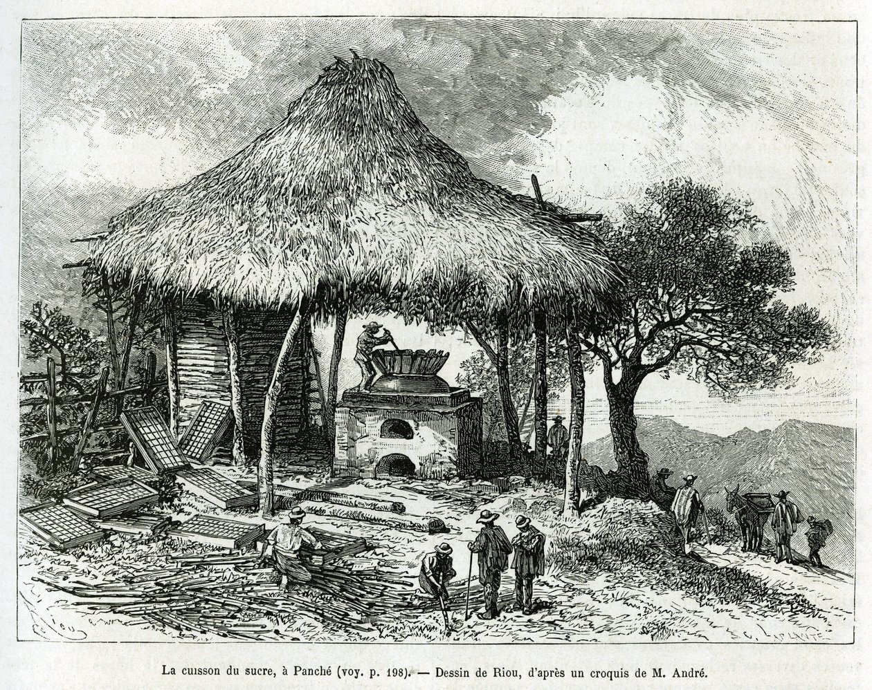 Sugar Baking Oven Panchessa (Kolumbia), Rioun piirustus kuvaamaan tarinaa Equinoxiale Americasta (Kolumbia, Ecuador, Peru) vuosina 1875-1876, kirjoittanut toim. andre, Ranskan hallituksen matkustusvastuumaksu. Kaiverrus kirjassa Le tour du monde tekijältä Edouard Riou