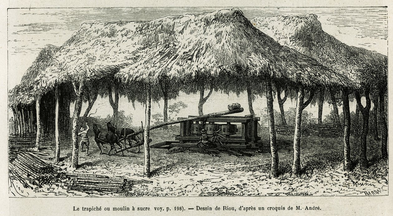 Trapiche tai sokerimylly keppien jauhamiseen Panchessa (Kolumbia), Rioun piirustus kuvaamaan tarinaa Equinoxiale Americasta (Kolumbia, Ecuador, Peru) vuosina 1875-1876, kirjoittanut toim. andre, Ranskan hallituksen matkustusvastuumaksu. Kaiverrus kirjassa  tekijältä Edouard Riou