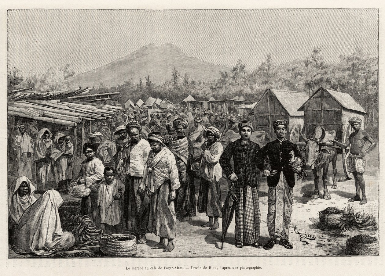 Kävely Pager Alam Cafessa (Malesia). Rioun kaiverrus havainnollistamaan tarinaa "vuosi Malesiassa", Jules Claine (1856-1939) tekijältä Edouard Riou