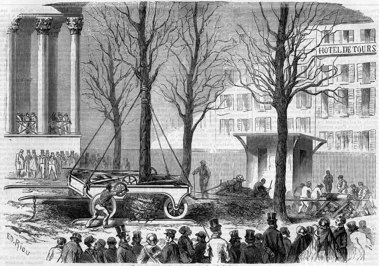 Puiden istutus Place de la Bourse -aukiolla Pariisissa talvella 1858. Rioun kaiverrus "" Le Monde Illustré" -julkaisussa nro 46, 27. helmikuuta 1858. tekijältä Edouard Riou