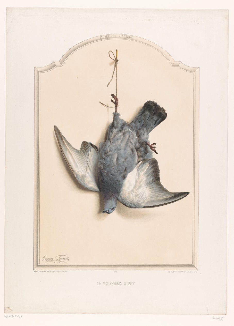 Kuollut kivikyyhkynen roikkuu yhdellä jalalla La colombe biset (otsikko esineessä) Museum of the Hunter (sarjan nimi) Musée du chasseur (sarjan nimi esineellä) tekijältä Edouard Travies