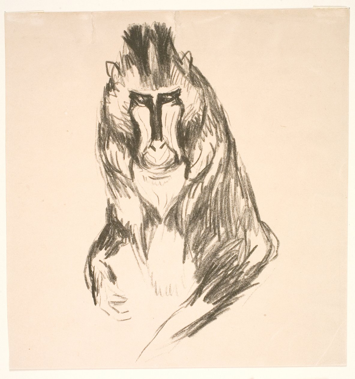 Gorilla (Manner) tekijältä Edvard Munch