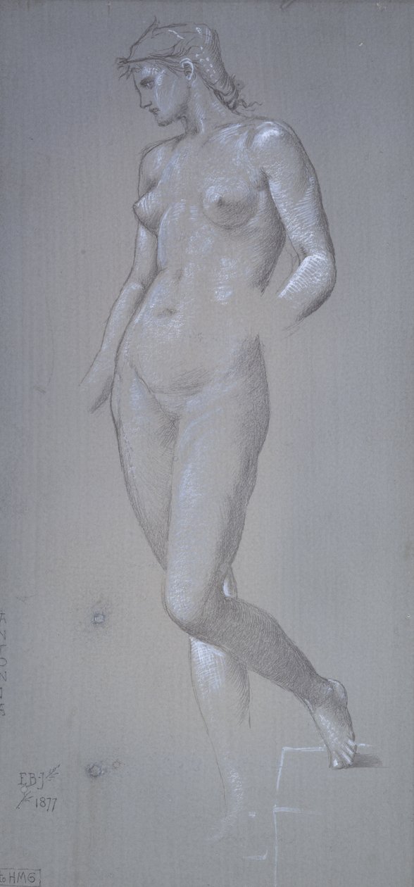 Antonia, 1877 (Hopeanpiste ja vartalonväri harmaalla esivalmistetulla alustalla) tekijältä Edward Burne Jones