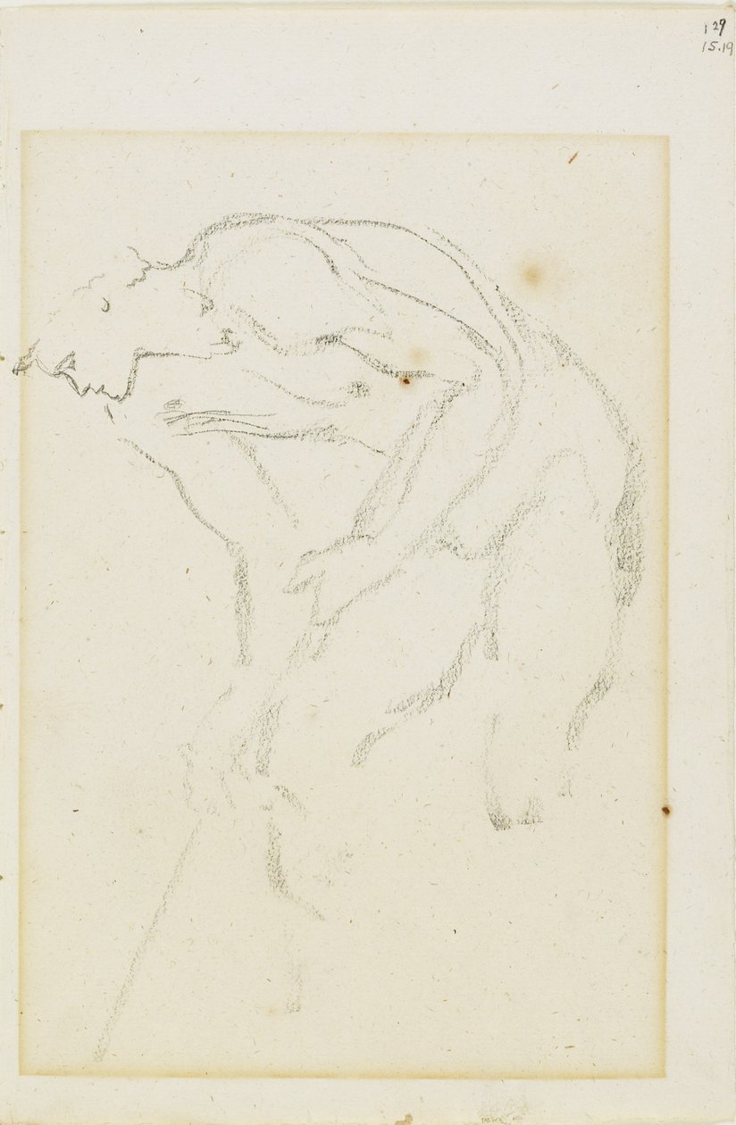 Mieshahmo, sivu 129 opintokirjasta, n. 1880-1890. tekijältä Edward Burne-Jones