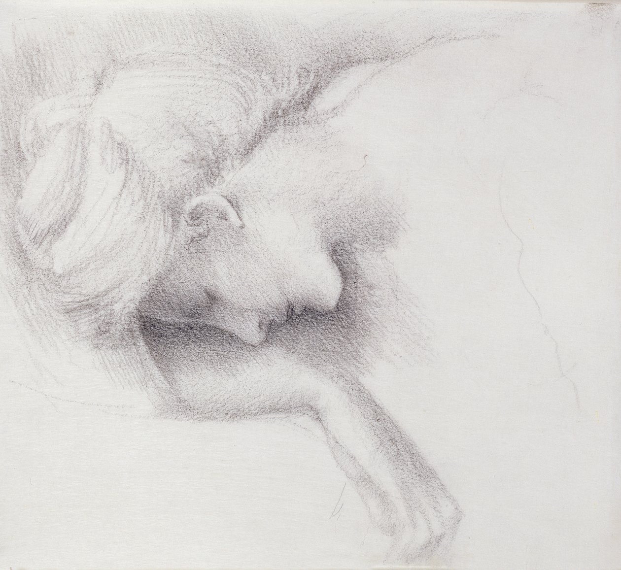 The Garden Court - tutkimus Briar Rose -sarjalle, 1888 (musta liitu paperille) tekijältä Edward Burne Jones