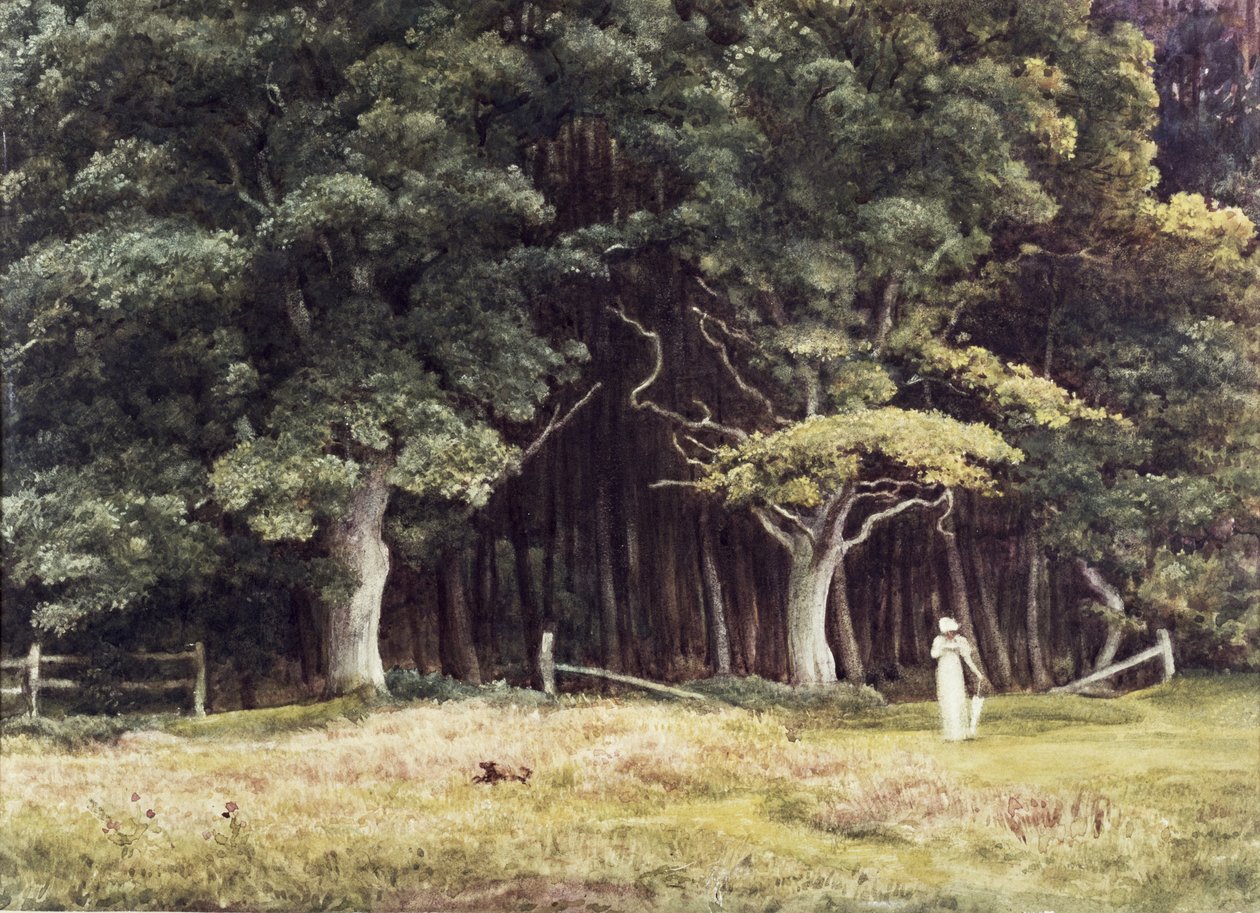 Metsäinen maisema, noin 1900 tekijältä Edward John Poynter