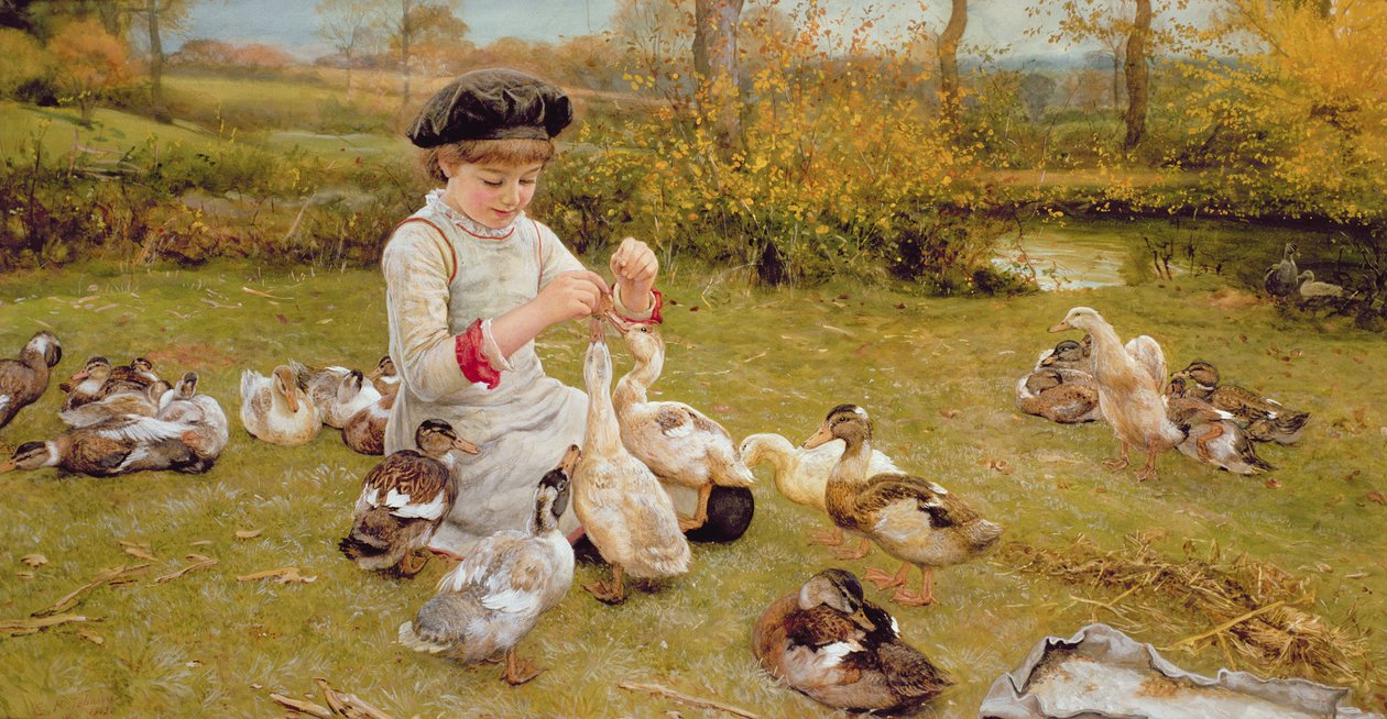 Ankkojen ruokinta tekijältä Edward Killingworth Johnson