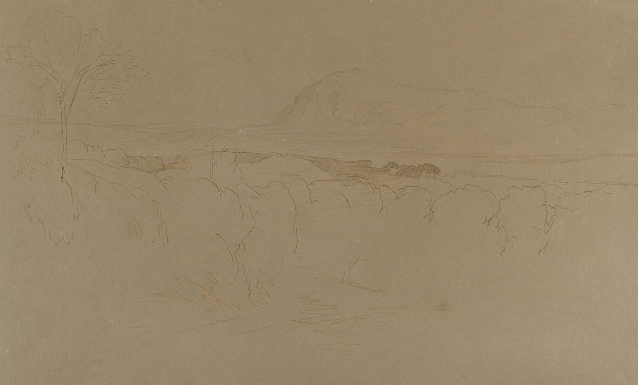 Calabria, 1847 (kynällä ja ruskealla tussilla lyijykynän päällä hyvin värittyneelle puhvapaperille). tekijältä Edward Lear