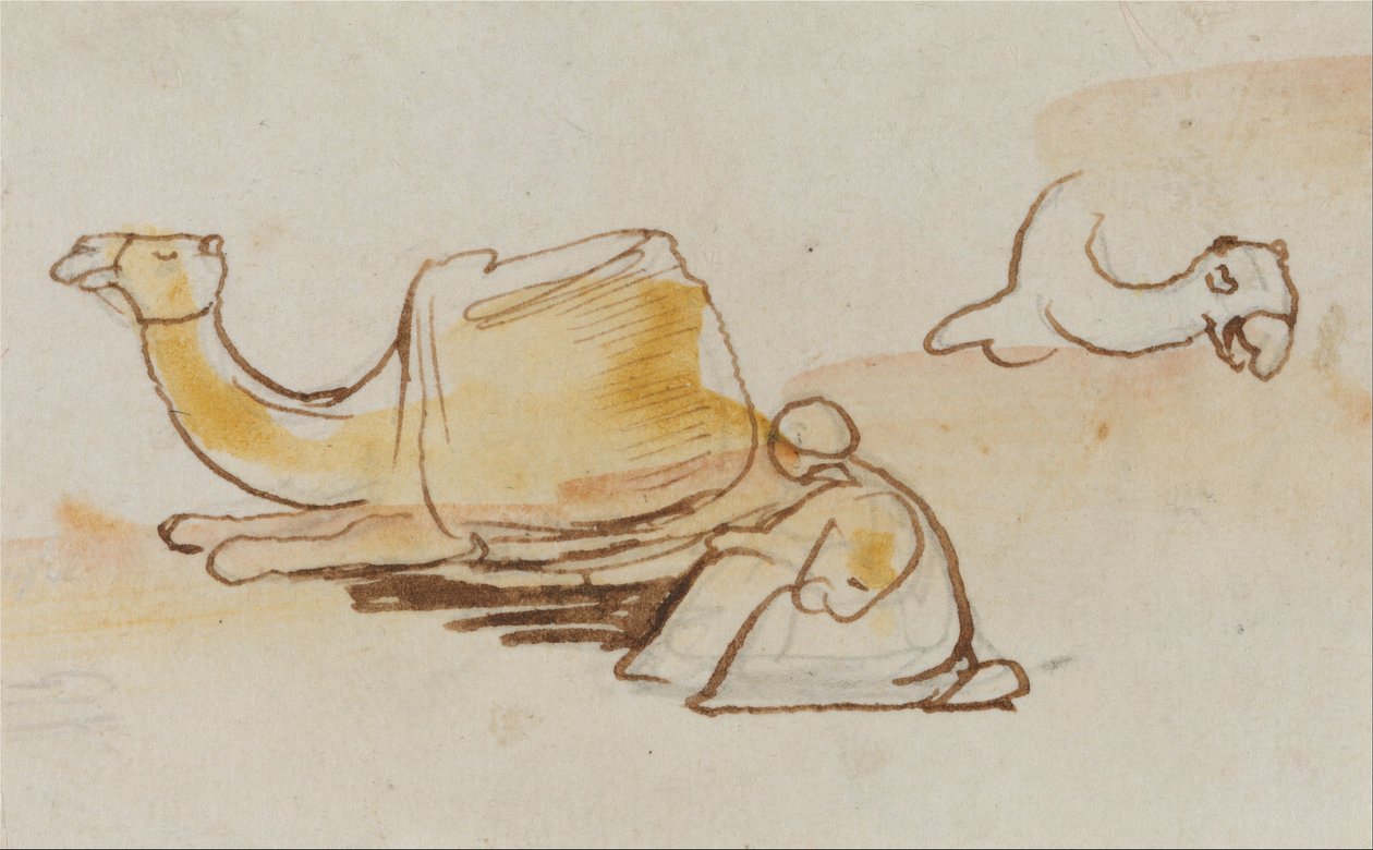Kamelin opinnot tekijältä Edward Lear