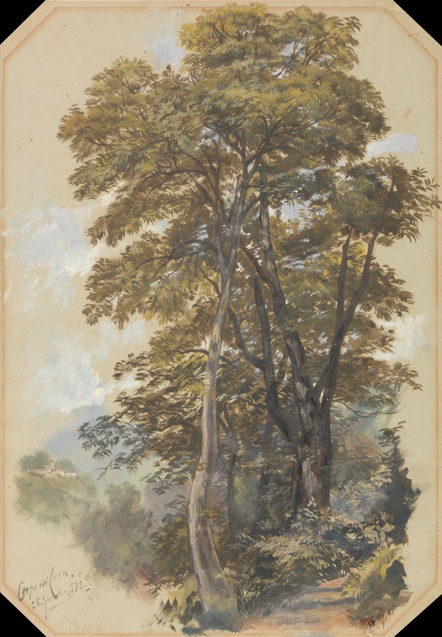Corvan Cava, 28. kesäkuuta 1838 tekijältä Edward Lear