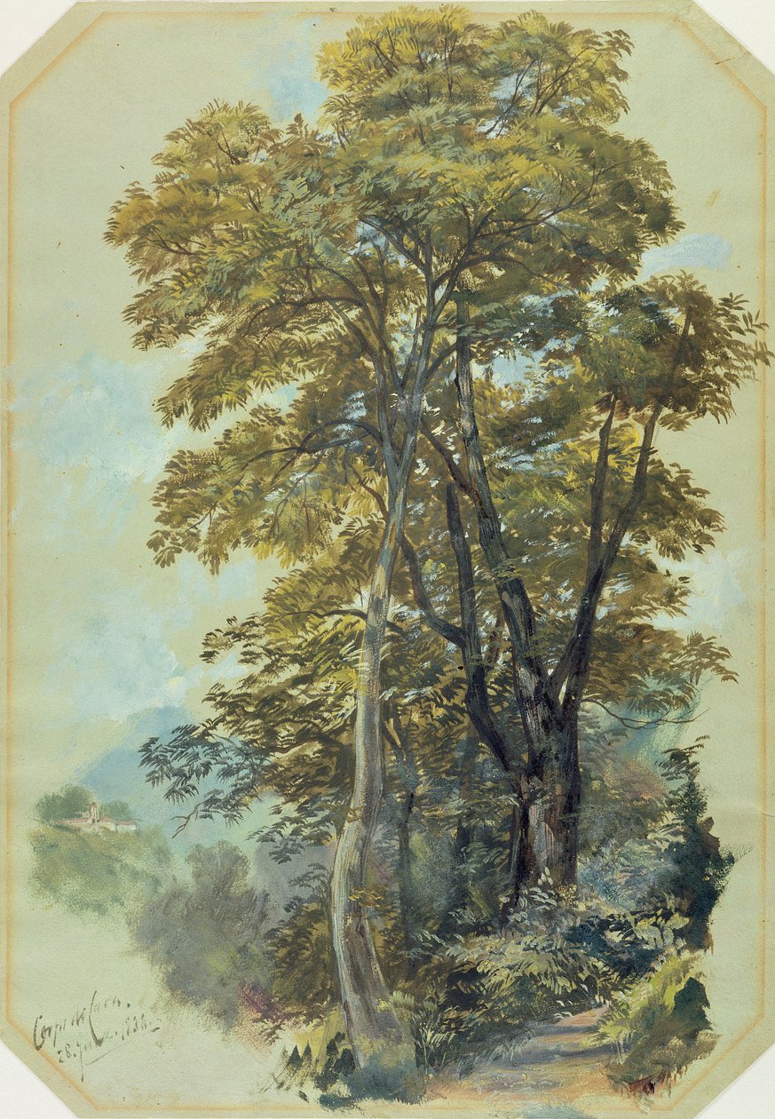 Edward Lear, Corpo di Cava, 28. kesäkuuta 1838 (öljy harmaalle paperiarkille). tekijältä Edward Lear
