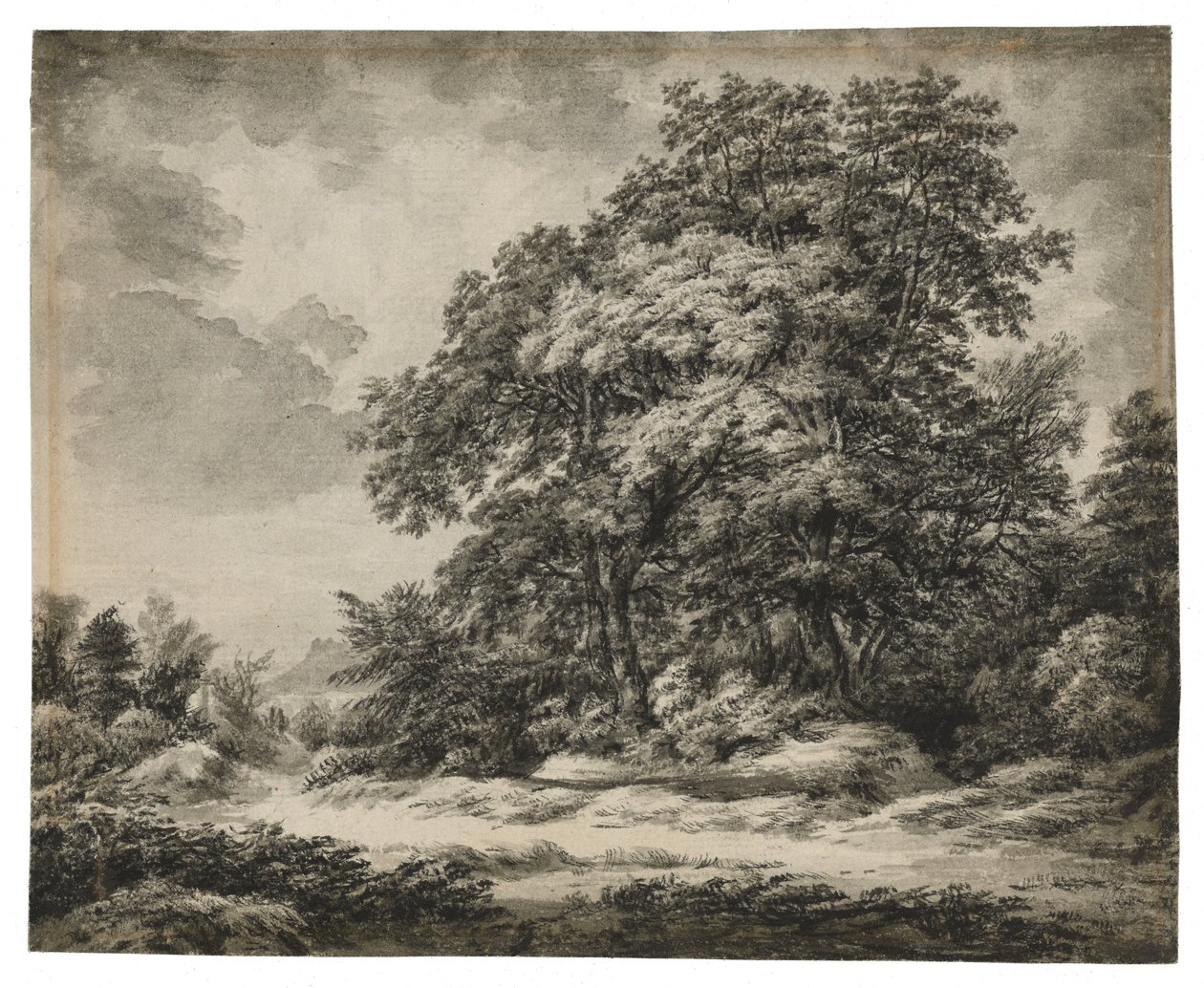 Metsämaisema (recto), n. 1838-1848 (muste ja pesu paperille) tekijältä Edward Lear