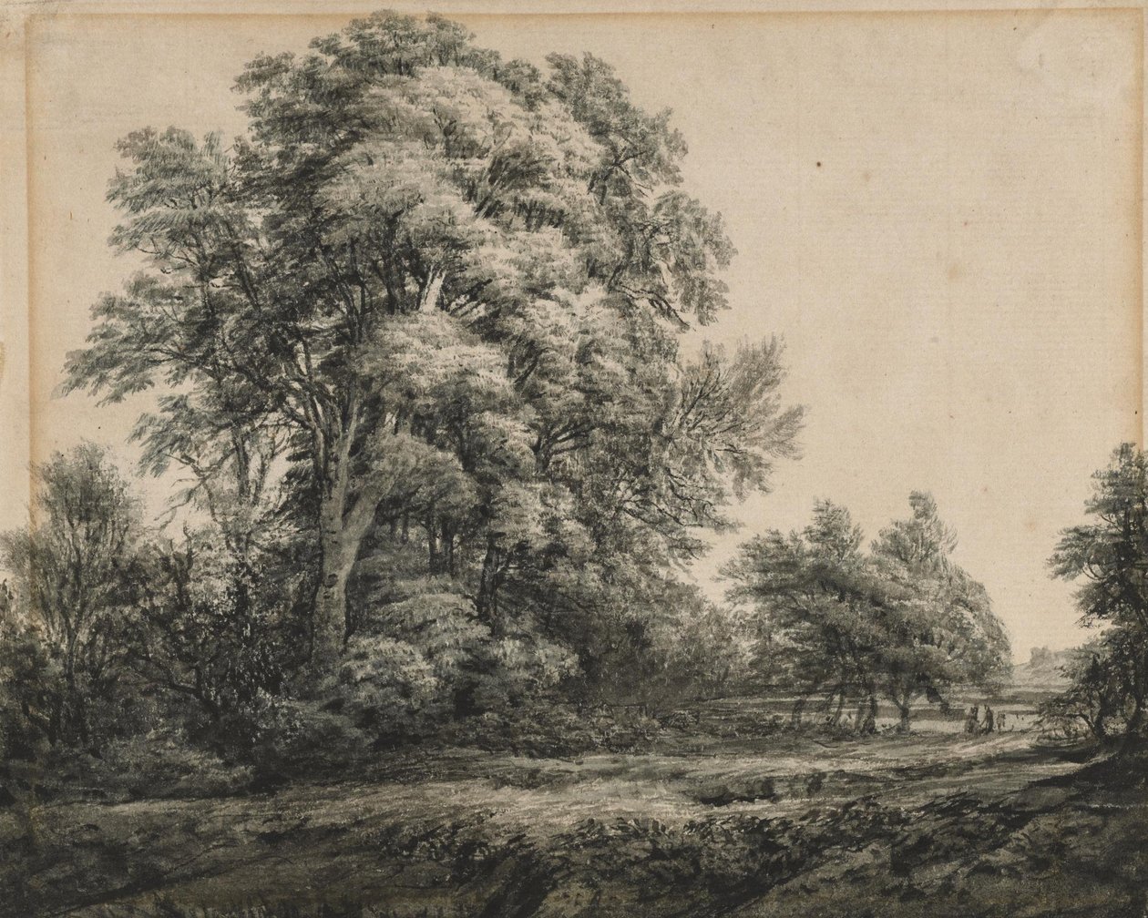 Metsämaisema tekijältä Edward Lear