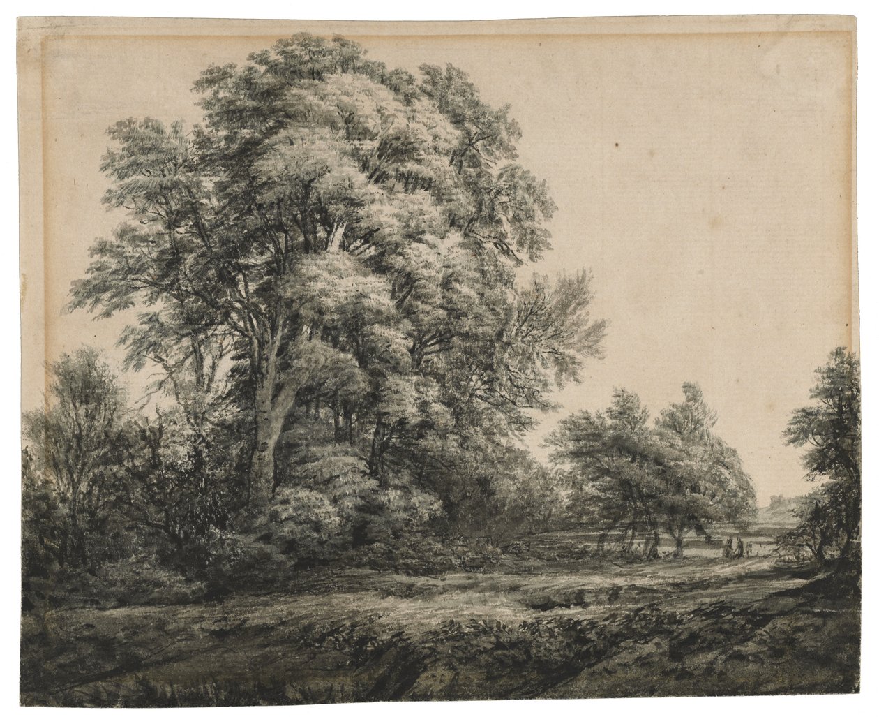 Metsämaisema, n. 1838-1848 (muste ja pesu paperille) tekijältä Edward Lear