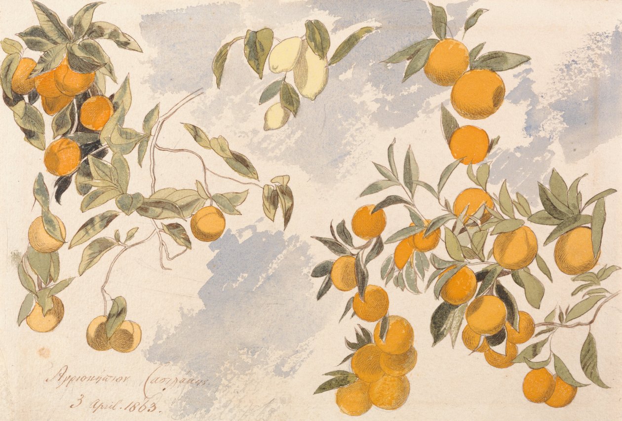 Hedelmäpuut, 3. huhtikuuta 1863 tekijältä Edward Lear