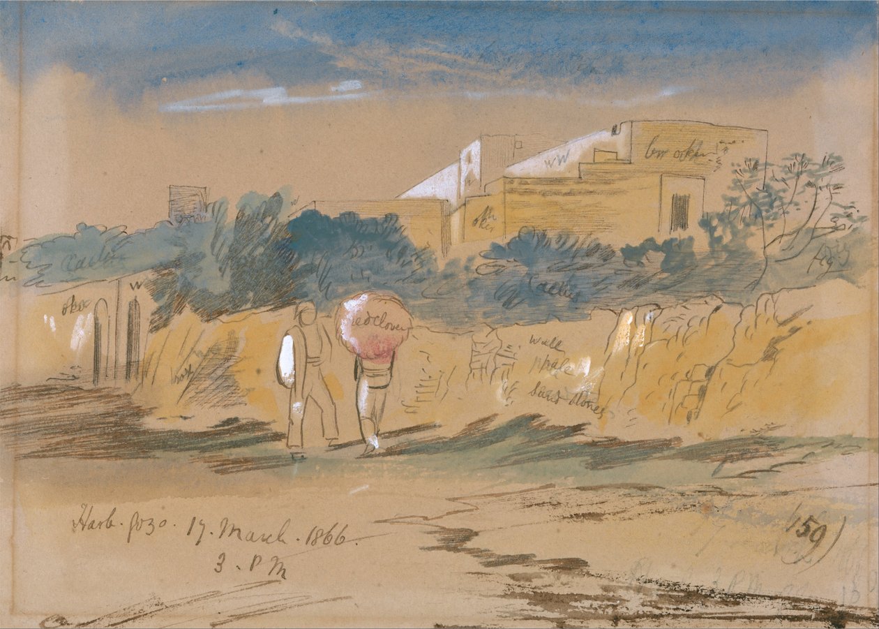 Harb. Gozo tekijältä Edward Lear