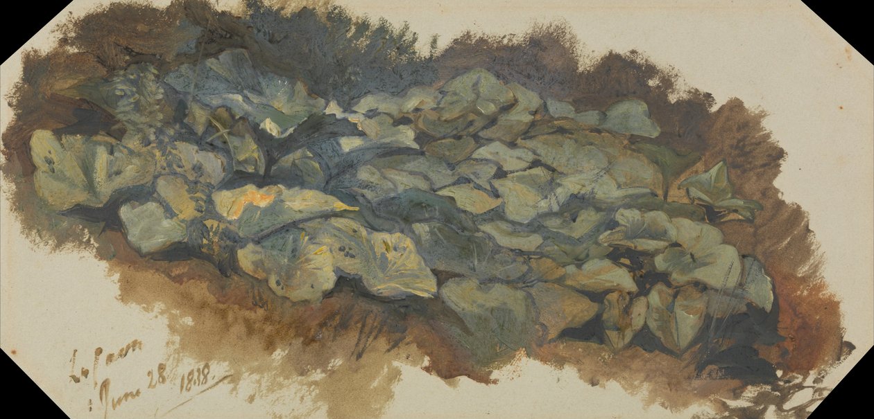 Cava tekijältä Edward Lear