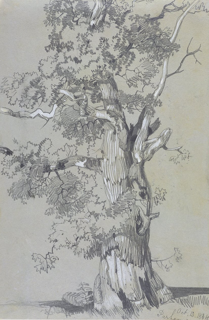 Parham, 13. lokakuuta 1834 (grafiitti valkoisella guassilla ruskealla kudospaperilla) tekijältä Edward Lear