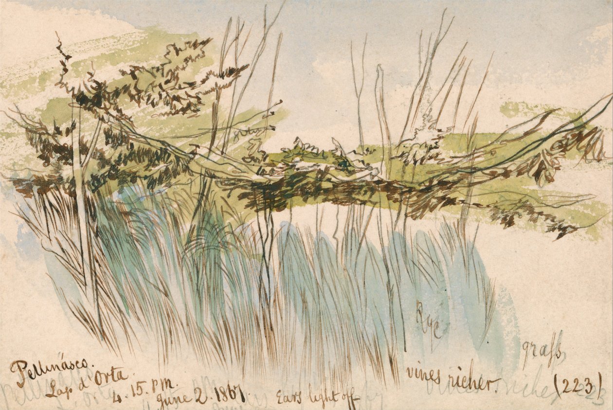 Pettenasco, Lago dOrta tekijältä Edward Lear