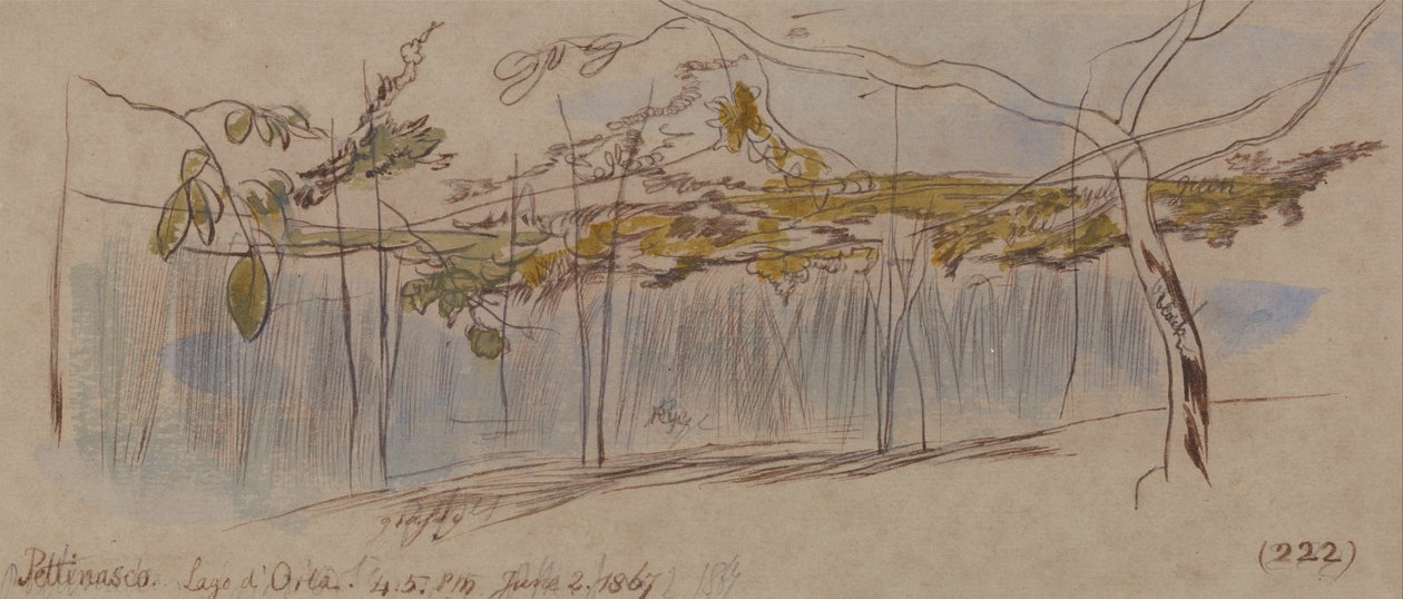Pettenasco, Lago dOrta tekijältä Edward Lear