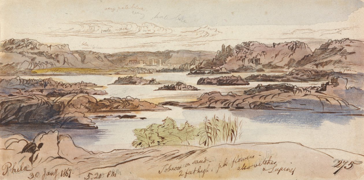 Philae, 17-20, 30. tammikuuta 1867 (275) tekijältä Edward Lear