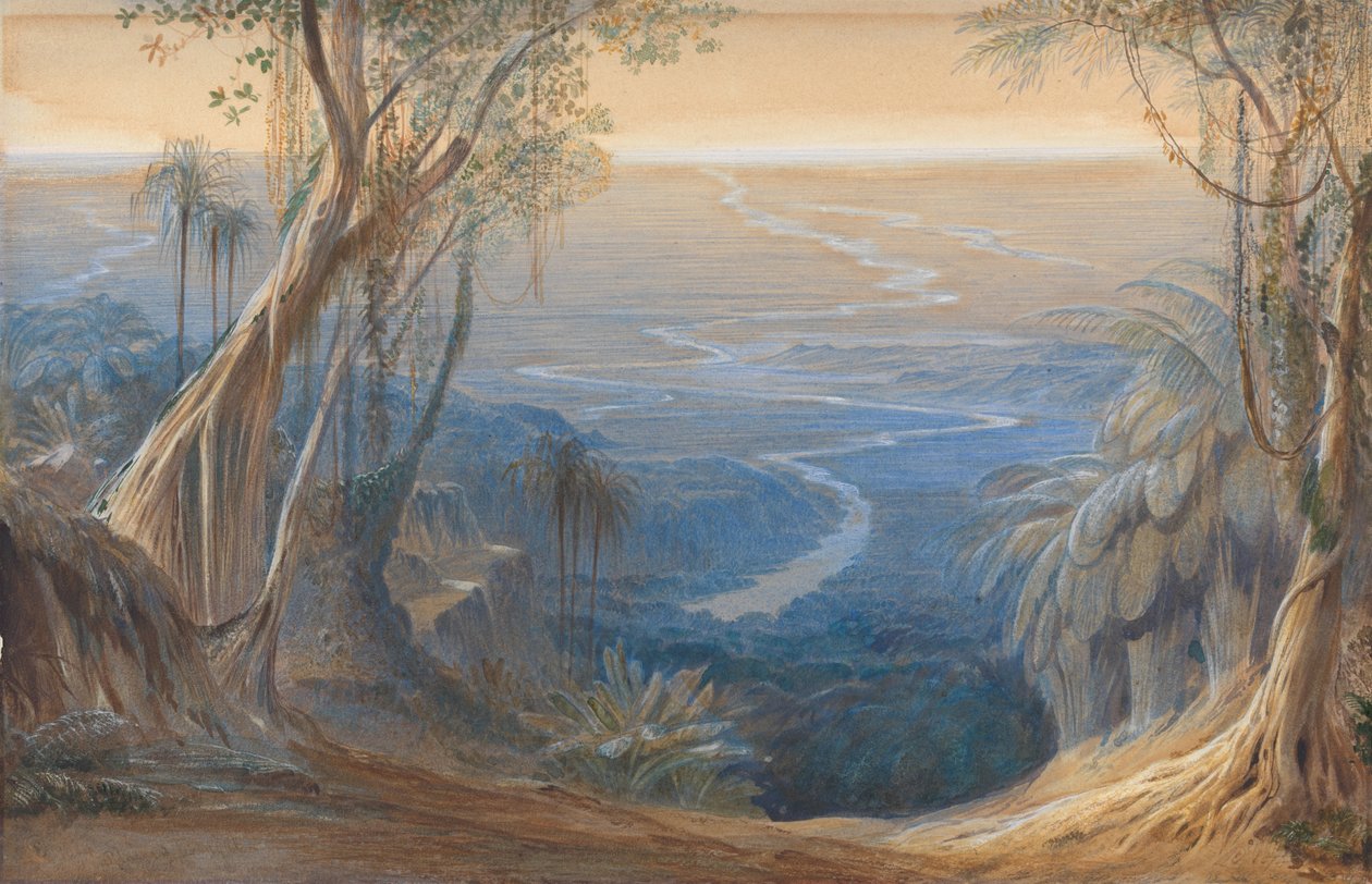 Bengalin tasangot Siligoreen ylhäältä tekijältä Edward Lear