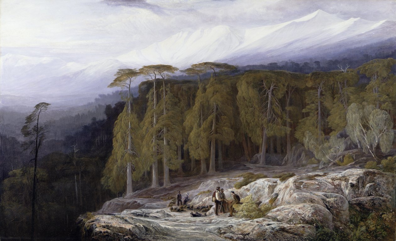 Valdoniellon metsä, Korsika, 1869 tekijältä Edward Lear