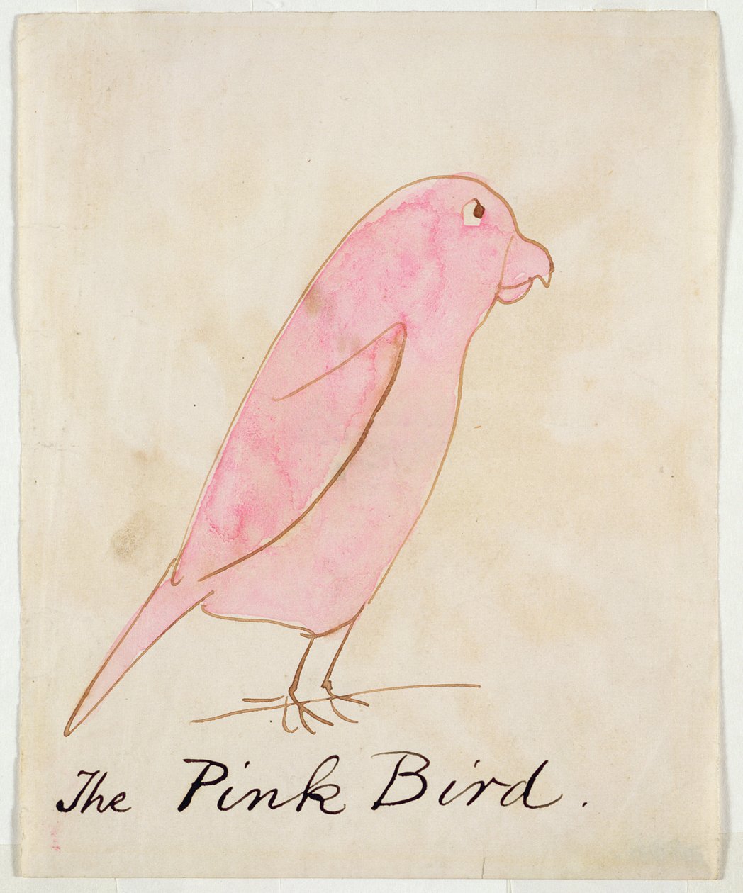 Pink Bird, julkaisusta "Sixteen Drawings of Comic Birds" (kynä, muste ja wc paperilla) tekijältä Edward Lear