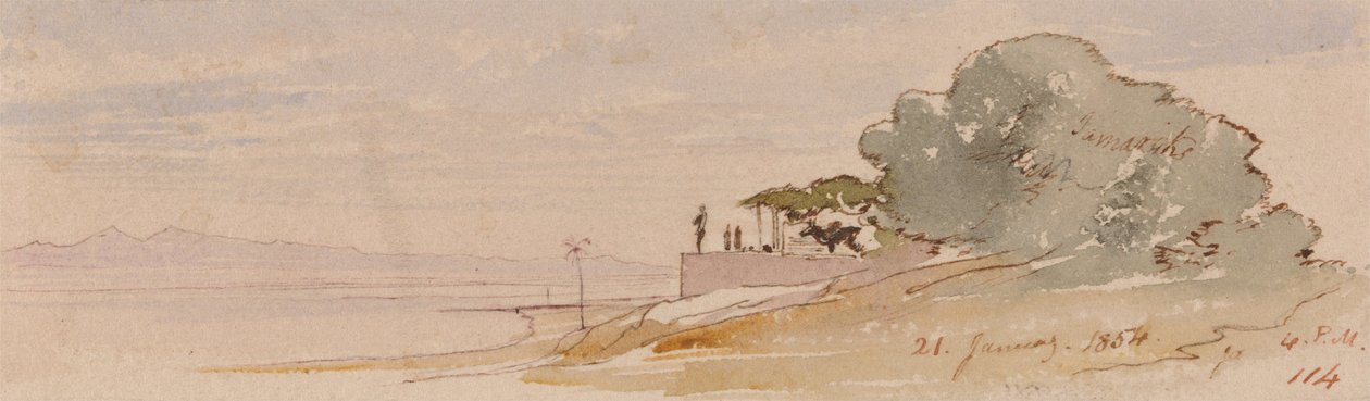 Theba tekijältä Edward Lear
