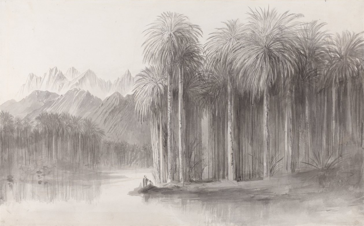 Wady Feiran, Mt. Siinain tekijältä Edward Lear