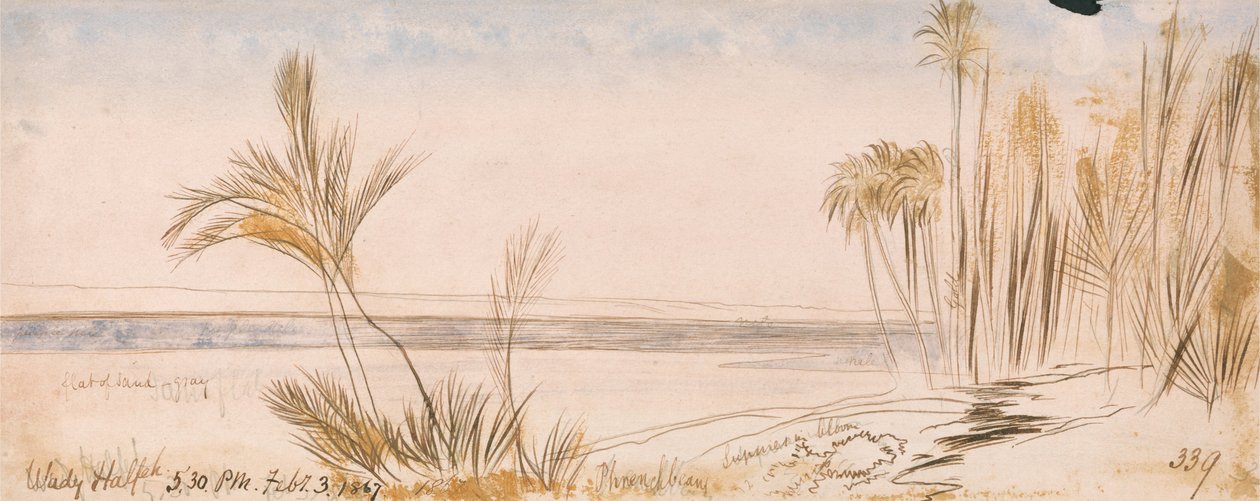 Halfeh haittoja tekijältä Edward Lear