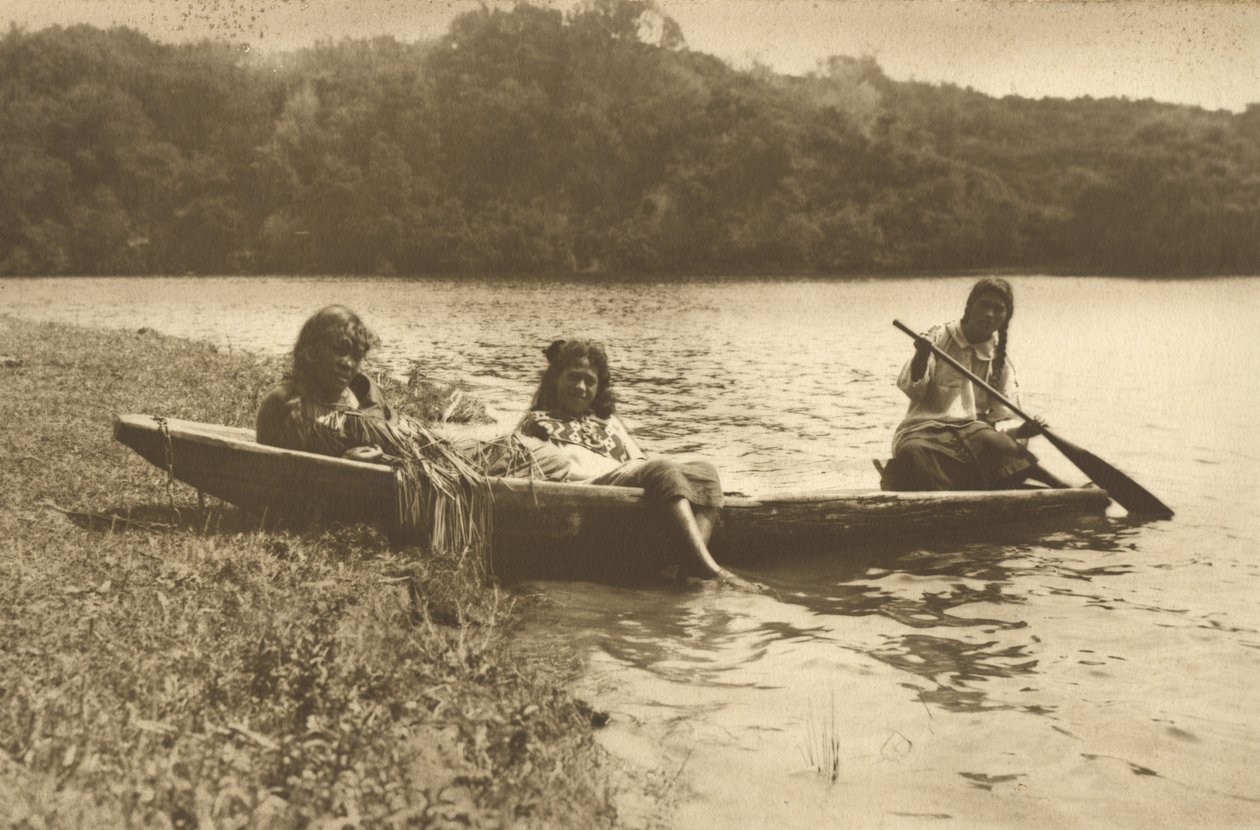 Waka, Rotoiti-järvi, n.1915 (hopeagelatiinivedos) tekijältä Edward Payton