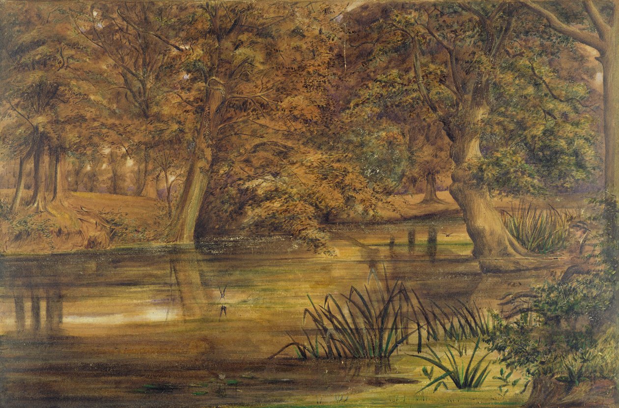 Back Water of the Bratford, 1864 (wc ja kynä paperille) tekijältä Edward W. Fitch