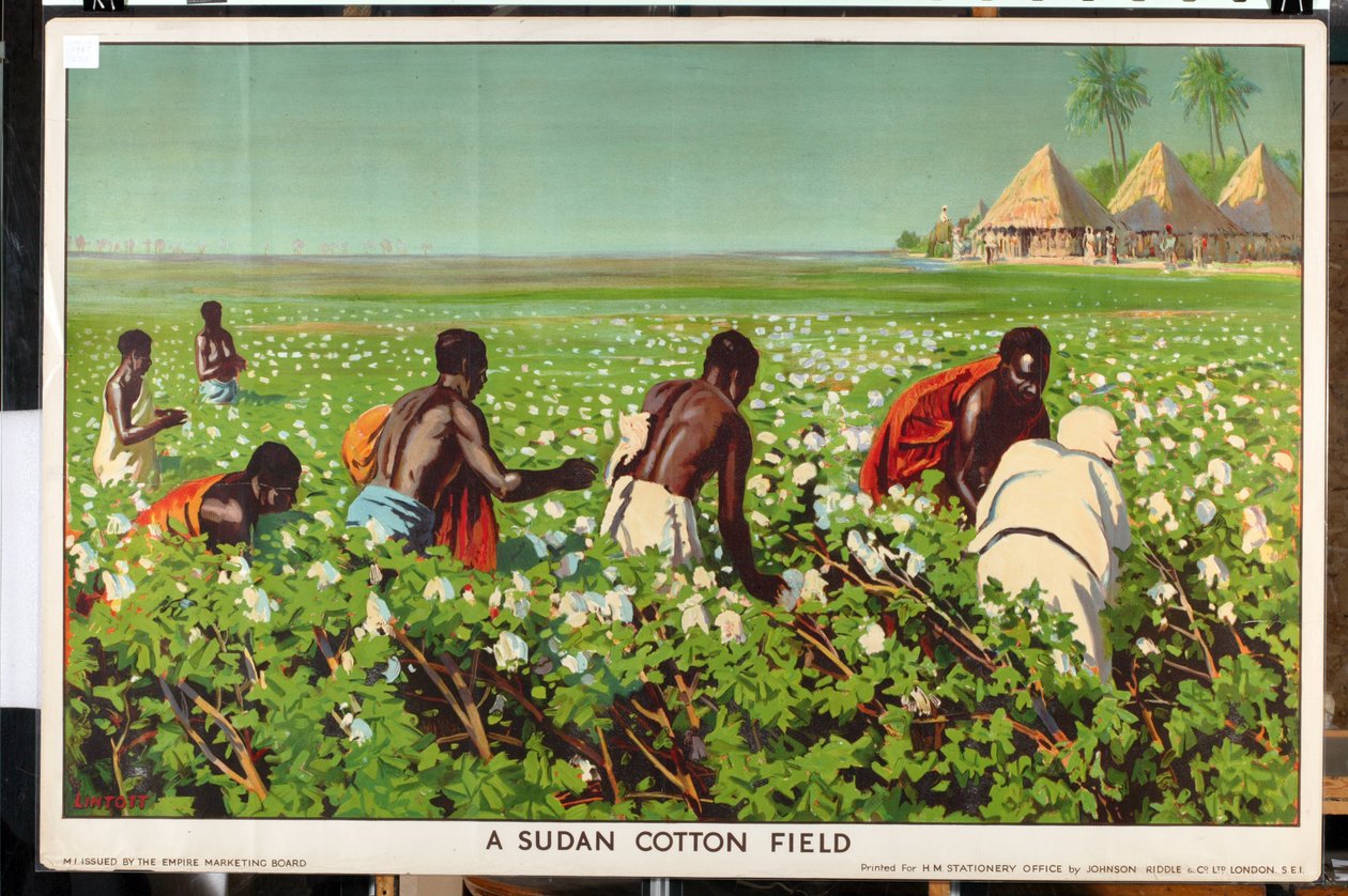 Sudanin puuvillapelto sarjasta "Empire Trade is Growing" (väri litho) tekijältä Edward Barnard Lintott