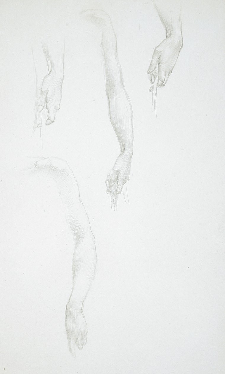 Käsien ja käsivarsien luonnoksia (etupuoli); Naisen vartalon luonnos (takapuoli) tekijältä Edward Burne-Jones