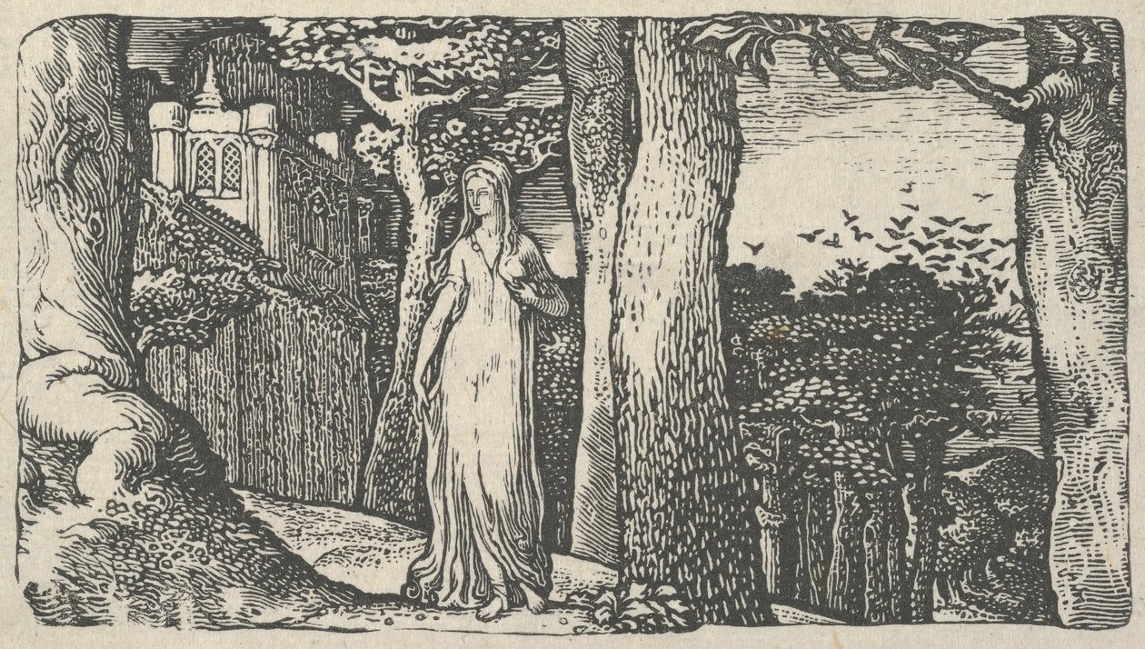 Lady with the Rooks, 1829. tekijältä Edward Calvert