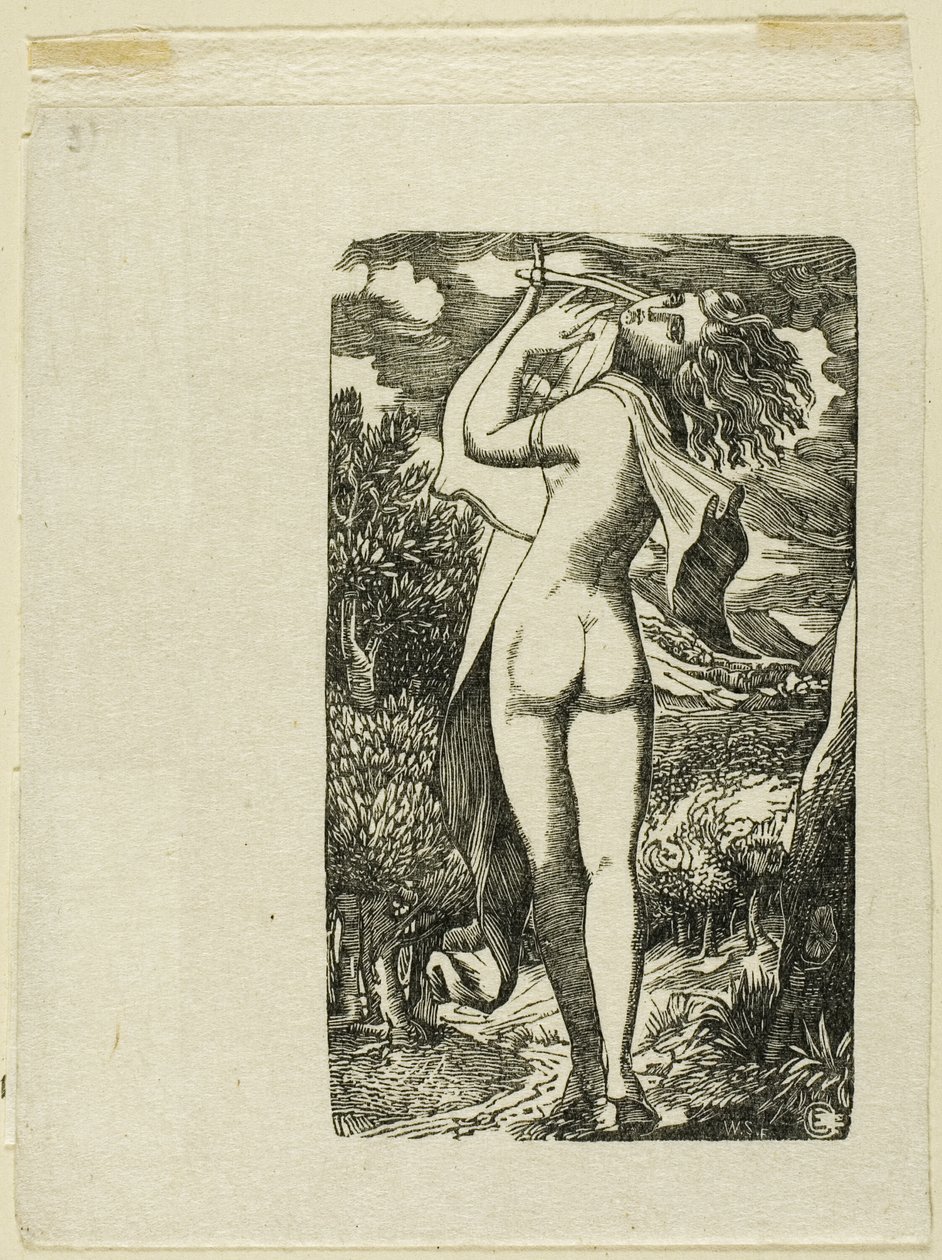 Bachchanati tekijältä Edward Calvert