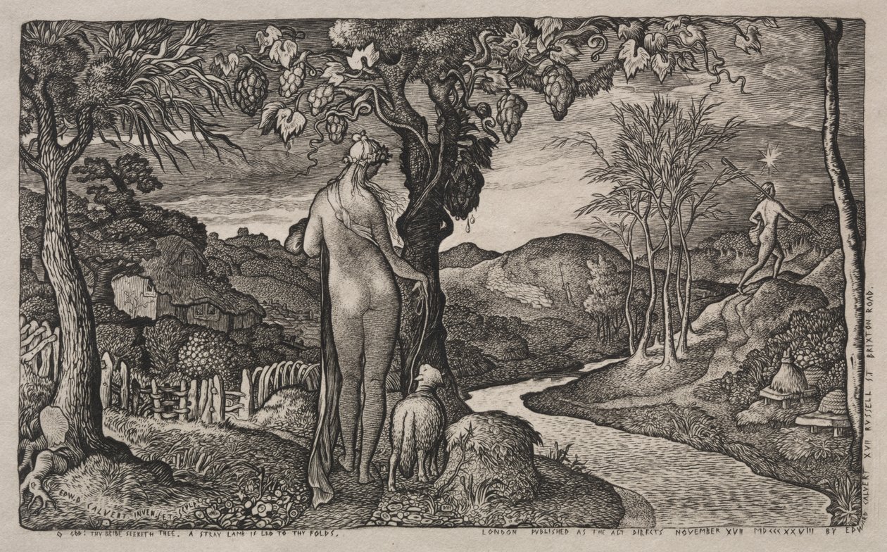 Morsian tekijältä Edward Calvert