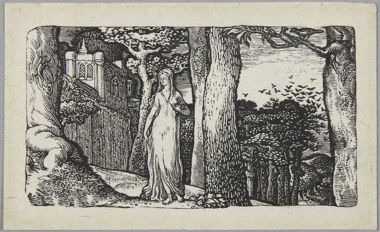 Nainen ja mustavarikset tekijältä Edward Calvert