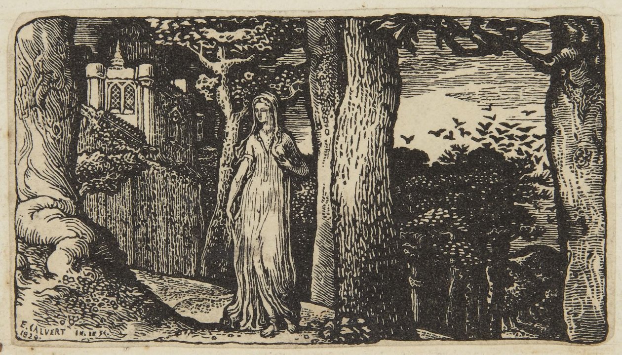 Nainen ja mustavarikset tekijältä Edward Calvert