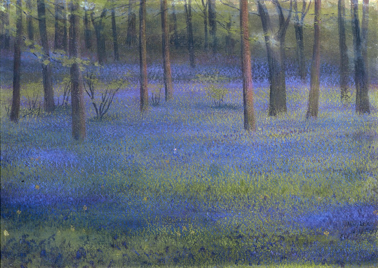 Bluebell Wood (pastelli paperille) tekijältä Edward Clifford