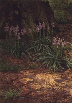 Sinikellot tekijältä Edward Clifford