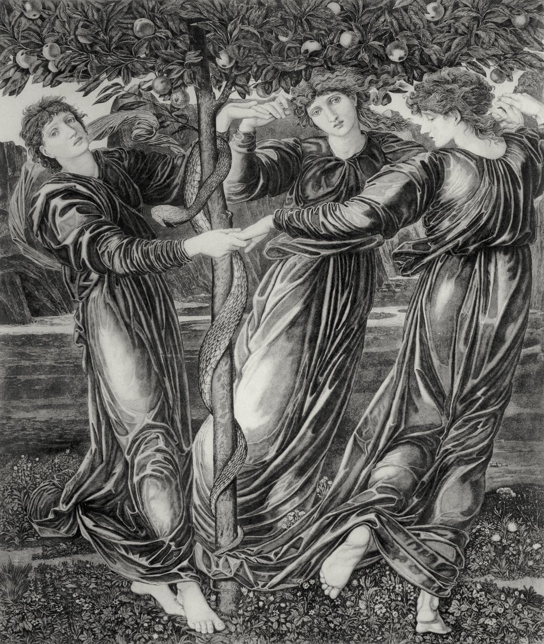 Hesperidien puutarha tekijältä Edward Coley (after) Burne Jones