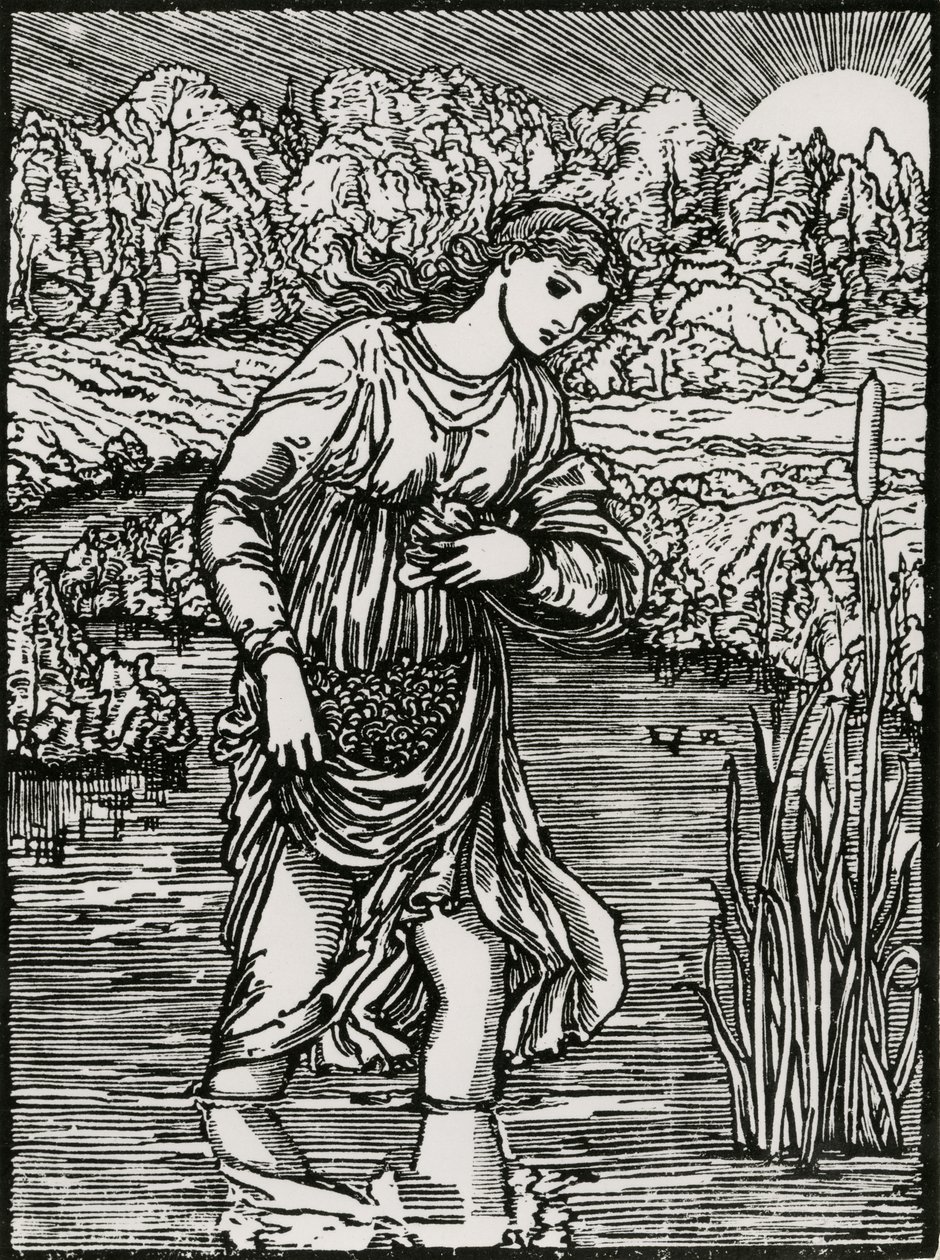 Ruokojen tehtävä tekijältä Edward Coley (after) Burne Jones