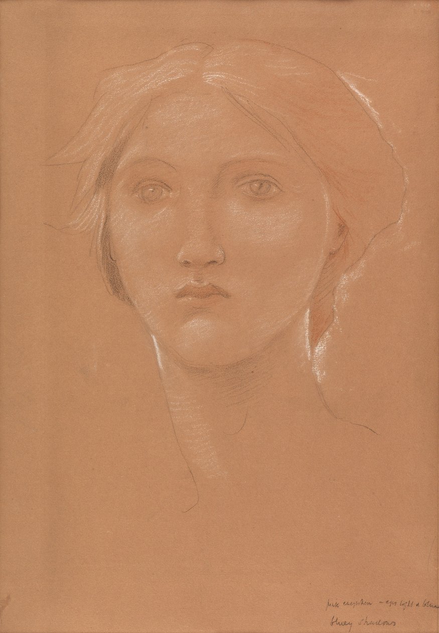 Tutkimus Margaret Burne-Jonesin johtajasta "Kuningas Cophetua ja kerjäläisneito" (liitu paperille) tekijältä Edward Coley Burne Jones