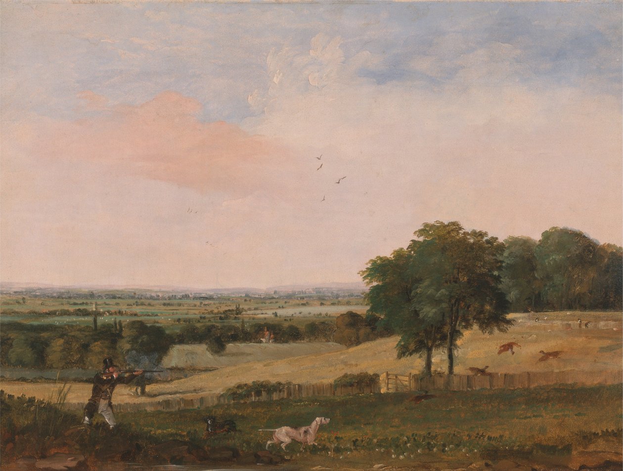 Partridge ampuminen tekijältä Edward Duncan