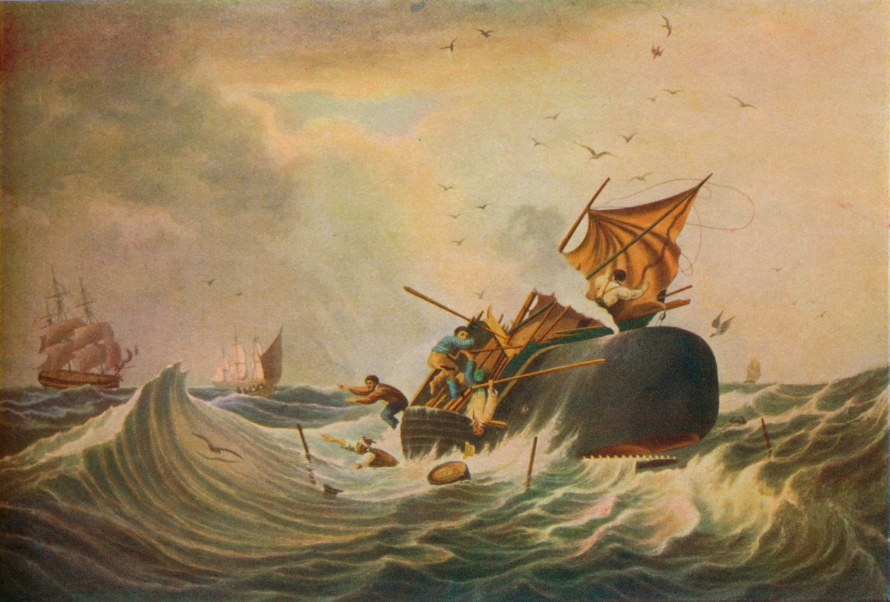 Etelämeren valaiden kalastus, 1836 tekijältä Edward Duncan