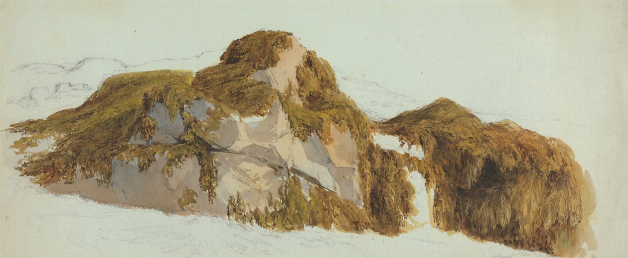 Merilevän peittämien kivien tutkimus tekijältä Edward Duncan