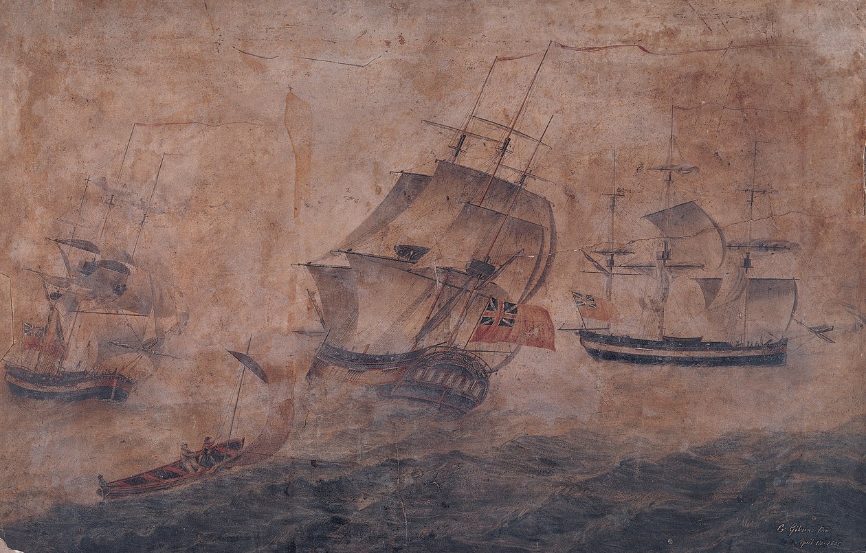 Whaler 